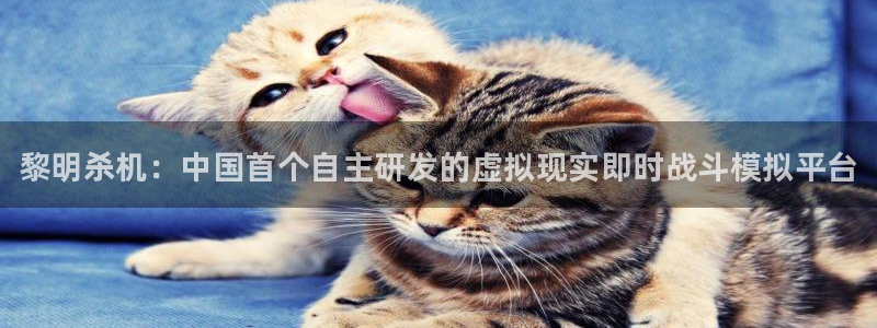 高德娱乐注册：黎明杀机：中国首个自主研发的虚拟现实即时战斗模
