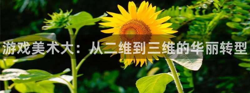 高德娱乐登陆测速：游戏美术大：从二维到三维的华丽转型