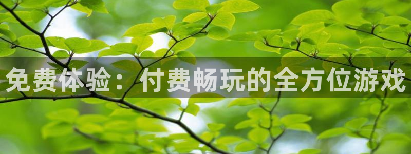 高德娱乐平台：免费体验：付费畅玩的全方位游戏