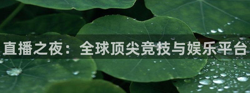 高德娱乐平台负责人：直播之夜：全球顶尖竞技与娱乐平台