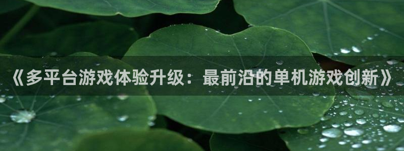 高德娱乐注册登录：《多平台游戏体验升级：最前沿的单机游戏创新