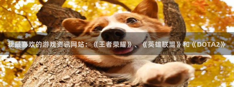 高德娱乐下载：我最喜欢的游戏资讯网站：《王者荣耀》、《英雄联