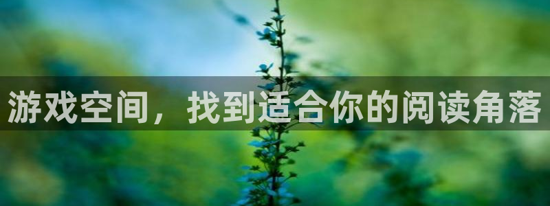 手机高德娱乐下载安装：游戏空间，找到适合你的阅读角落