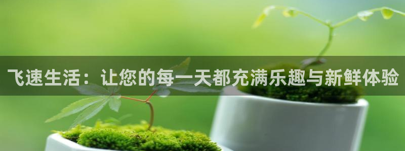 高德娱乐网址官网：飞速生活：让您的每一天都充满乐趣与新鲜体验