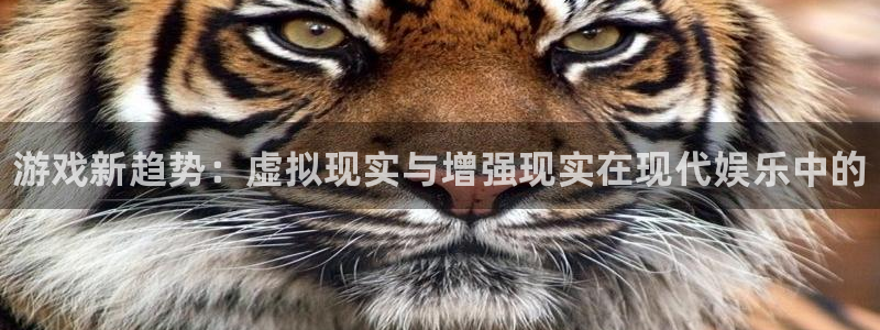 高德娱乐网页版地址：游戏新趋势：虚拟现实与增强现实在现代娱乐