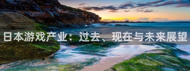 高德娱乐什么意思：日本游戏产业：过去、现在与未来展望
