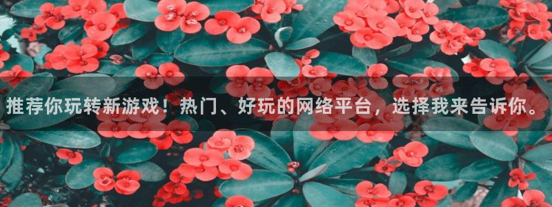 高德娱乐官网：推荐你玩转新游戏！热门、好玩的网络平台，选择我