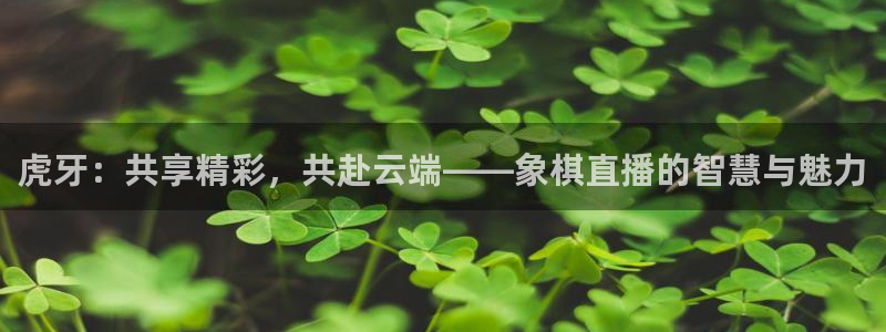 搜球吧nba在线直播：虎牙：共享精彩，共赴云端——象棋直播的智慧与魅力