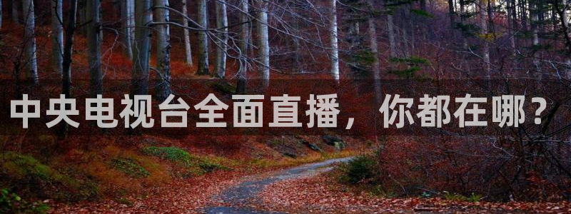 搜球吧直播网：中央电视台全面直播，你都在哪？