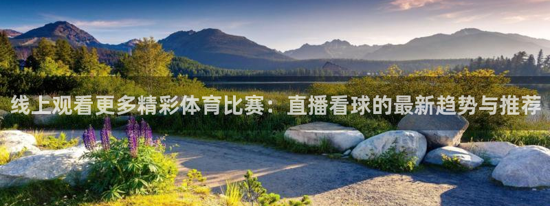 搜球吧直播：线上观看更多精彩体育比赛：直播看球的最新趋势与推荐