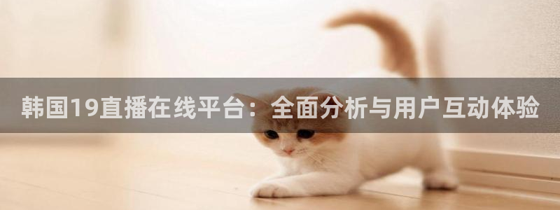 搜球吧在线直播免费观看：韩国19直播在线平台：全面分析与用户互动体验