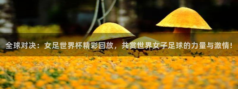 搜球体育直播：全球对决：女足世界杯精彩回放，共赏世界女子足球的力量与激情!