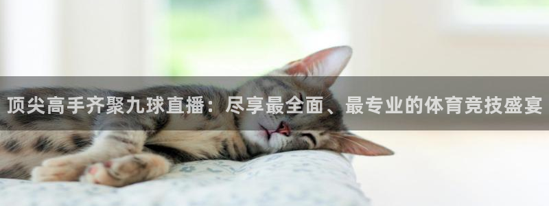 搜球直播：顶尖高手齐聚九球直播：尽享最全面、最专业的体育竞技盛宴